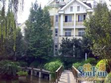 美茵河谷 板式洋房 楼层合适 住家安静