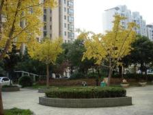 内环必看南北两房,6号D铁口,进财好用,满五税少