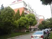 鹤北新村 2室1厅 东 南