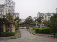 紫藤新园 2室2厅 南