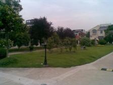 靠天然大河,大花园,三开间朝南大面宽,一楼带长辈房