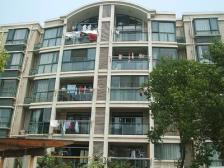 三林·叠翠苑·3室·2厅