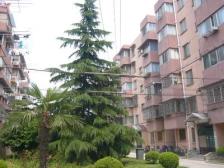 双轨交 近公园 南北双阳台 价格低 业主诚售