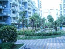 带40平垫高大花园,采光棒棒的,没有遮挡,位置安静