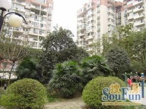 超洋花园 1室1厅 西北