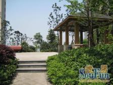 融侨半岛 正规两房两卫 清水房业主诚心出售 产权清晰