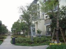 万科新上洋房,带露台,靠西门,生活便利,满五唯一