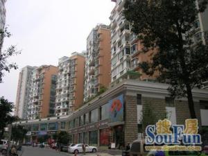 超洋花园0室0厅南
