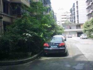 清邻街3号3室2厅东南