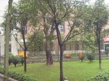 巨成龙湾正规一房,出门双轻轨,户型方正,配套齐全