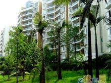 回兴 翠湖柳岸五房305万