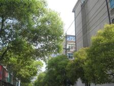 南京东路二十三中旁 正规3房 采光好