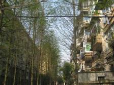 南京东路 青山湖小区 通透两房