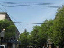 老城芯近地铁近公园商圈繁华户型方正低总价