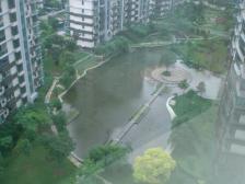 店长推荐浦东世纪花园二期上下两层复式没住过降价急售