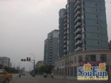 电梯顶楼复式,楼上层高正常,位置好,视野很开阔