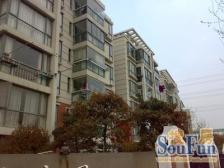 普陀中环边,高品质电梯房,近公园,环境优美,小区安静