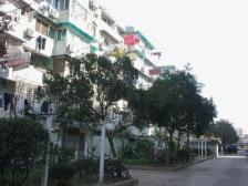 五角场·政立路711弄·3室·1厅