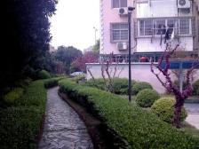 近地铁商品房,质量吊打阳明,中间楼层大四房