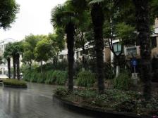 通河泗塘 · 岭南雅苑 · 2室 · 2厅