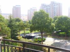 必卖好房 位置好 电梯高区 视野好 无遮挡 楼.王位置