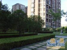 金桥·证大家园三期·2室·2厅