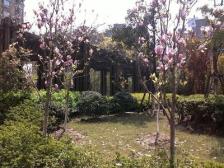 近地铁 产权清晰 中间楼层 无抵押,新上房源