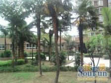 房屋户型方正采光好,居家生活方便可直接拎包入住。