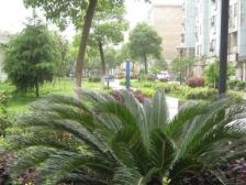 青山湖小区 南北通透,采光好 装修好,环镜优美 近地铁 视野好,诚心出售