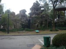 紫藤新园2室2厅南