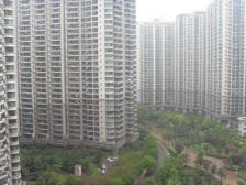 笋盘!苏州河景观房!凤凰楼层!业主诚售!必看好房!