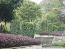 滩子口片区 广厦城岭都三房120万