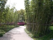 张江科学城板块05年别墅,纯毛坯,随时看,地下室干净清爽。