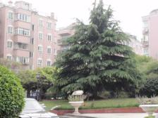 中楼层复式,带地暖精装修,采光视野佳。