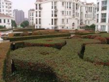 区域主推:双轨交6+12号线+在建嘉里城+低楼层+看房方便