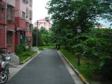 宜居社区 平吉二村 中间位置高区 采光无遮挡 双南全明两房