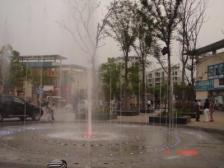 江桥·金帝城市岸泊(公寓)·2室·2厅