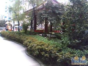 金城丽景3室2厅东南