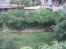 南坪 成熟地段 板式花园洋房 龙湖物业