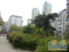 朝阳小区 南北通透,采光好 视野好,诚心出售