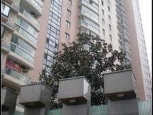 老静安江宁路板块 精装一房 高区采光视野好 满五