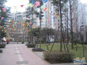 三洲娇子苑3室2厅南