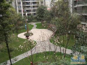 金林大城小室 1室2厅 西南