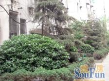 爱国路 南北通透,采光好 视野好,诚心出售