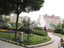 高区电梯大复式+视野一览无余+看房方便