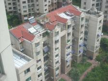 四大宜居板块之一 三林前滩 电梯大两房