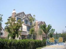 大户型类独栋边套~花园300平~土建已做好~满五唯