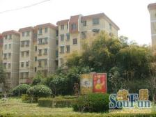 金桥·银桥花苑·3室·1厅