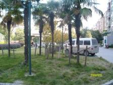 满五 刚需上车 通风好,新上房源