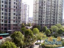 电梯房,中间楼层 通风好,新上房源